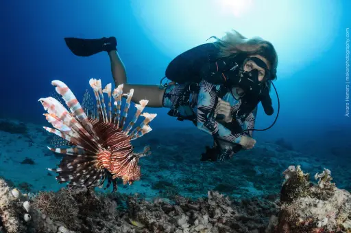[TECH-CCRFD] Recreational Rebreather Dives