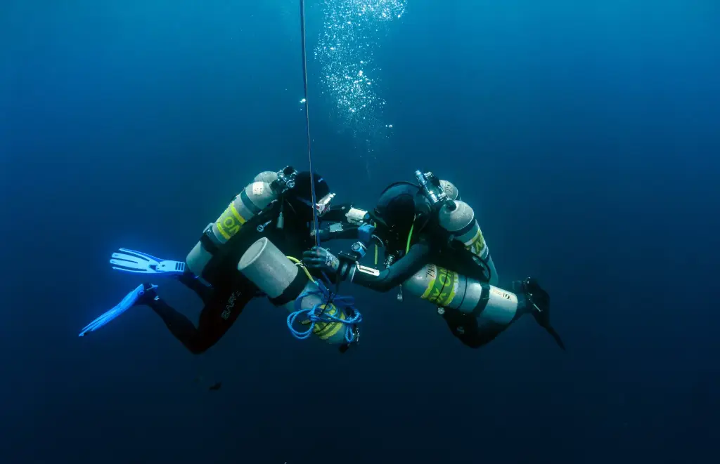 Decompression Procedures Instructor | Blue Marlin Dive Tech