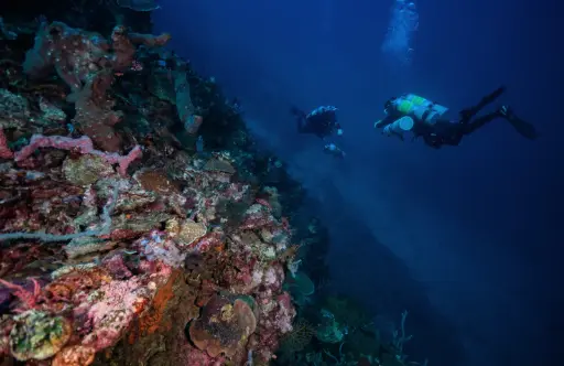 [TECH-TRIINST] Trimix Instructor